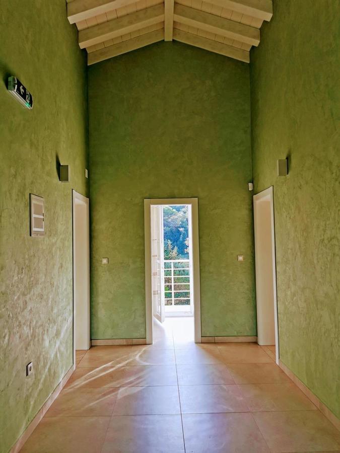 Villa Olivia - New And Modern House With Pool, Souna, Jacuzzi & Playground, Liznjan - Istra Εξωτερικό φωτογραφία